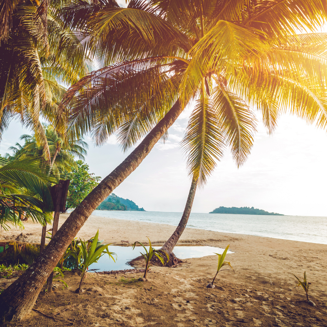 Mon voyage depuis la Martinique...