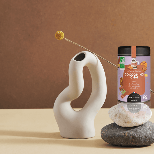 Mélange d'Épices Bio Cocooning Chai-AKASAN